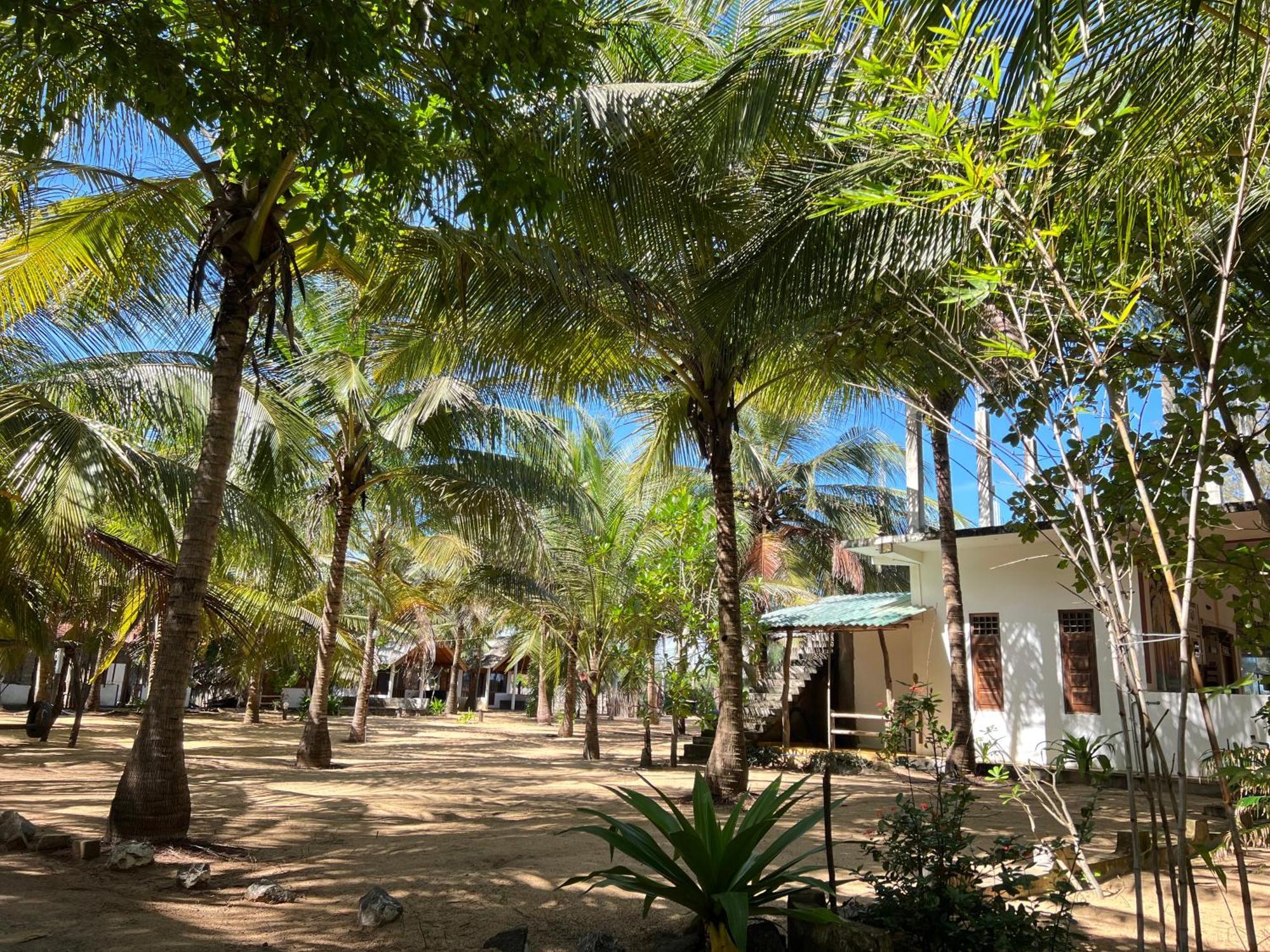 Sand Dune Beach Resort & Surf Camp Vịnh Arugam Ngoại thất bức ảnh