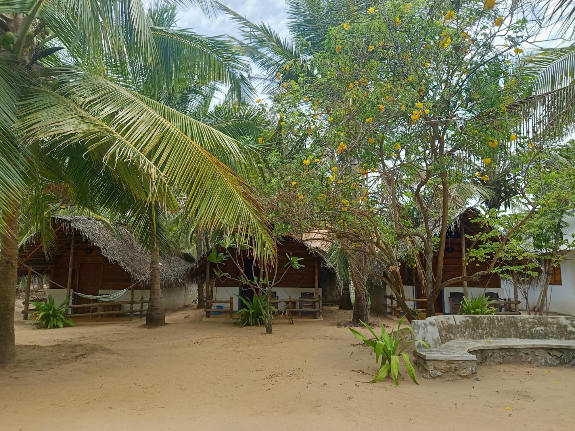 Sand Dune Beach Resort & Surf Camp Vịnh Arugam Ngoại thất bức ảnh