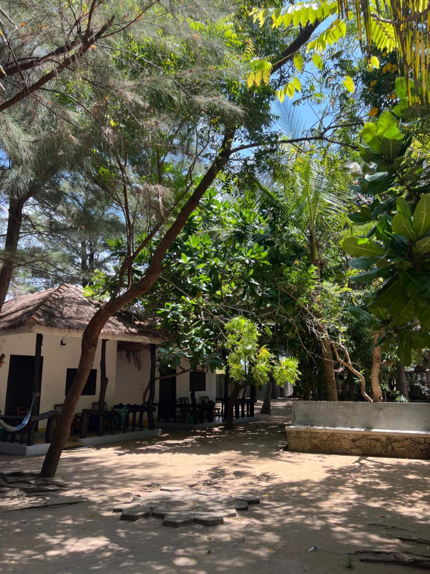 Sand Dune Beach Resort & Surf Camp Vịnh Arugam Ngoại thất bức ảnh